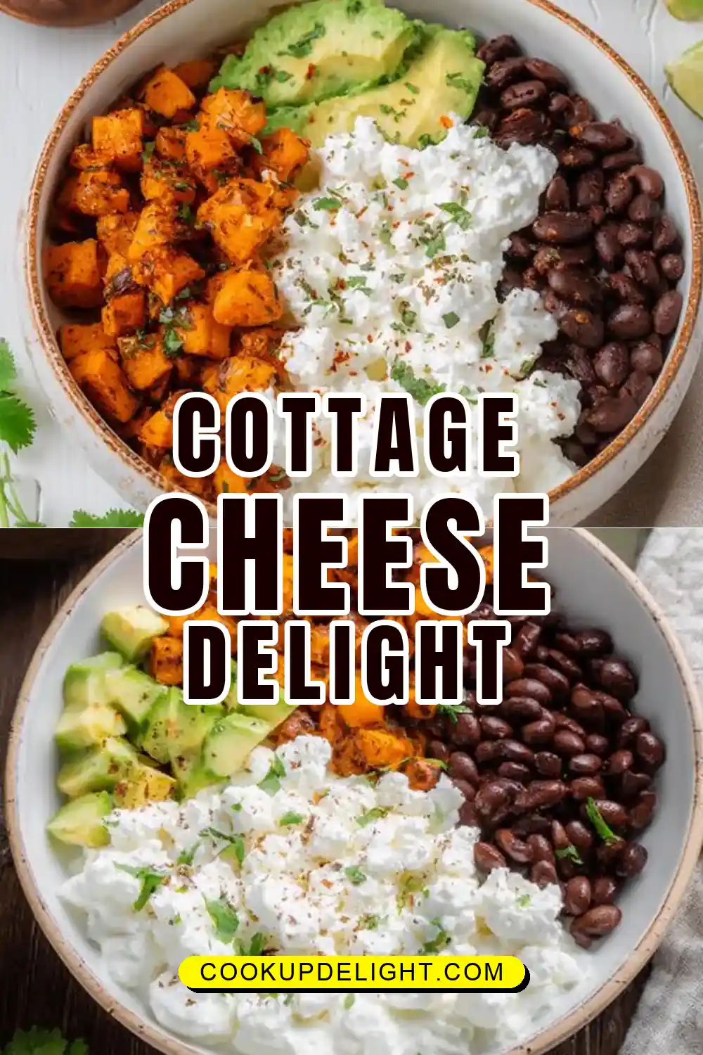 Vegetarian Cottage Cheese Bowl
