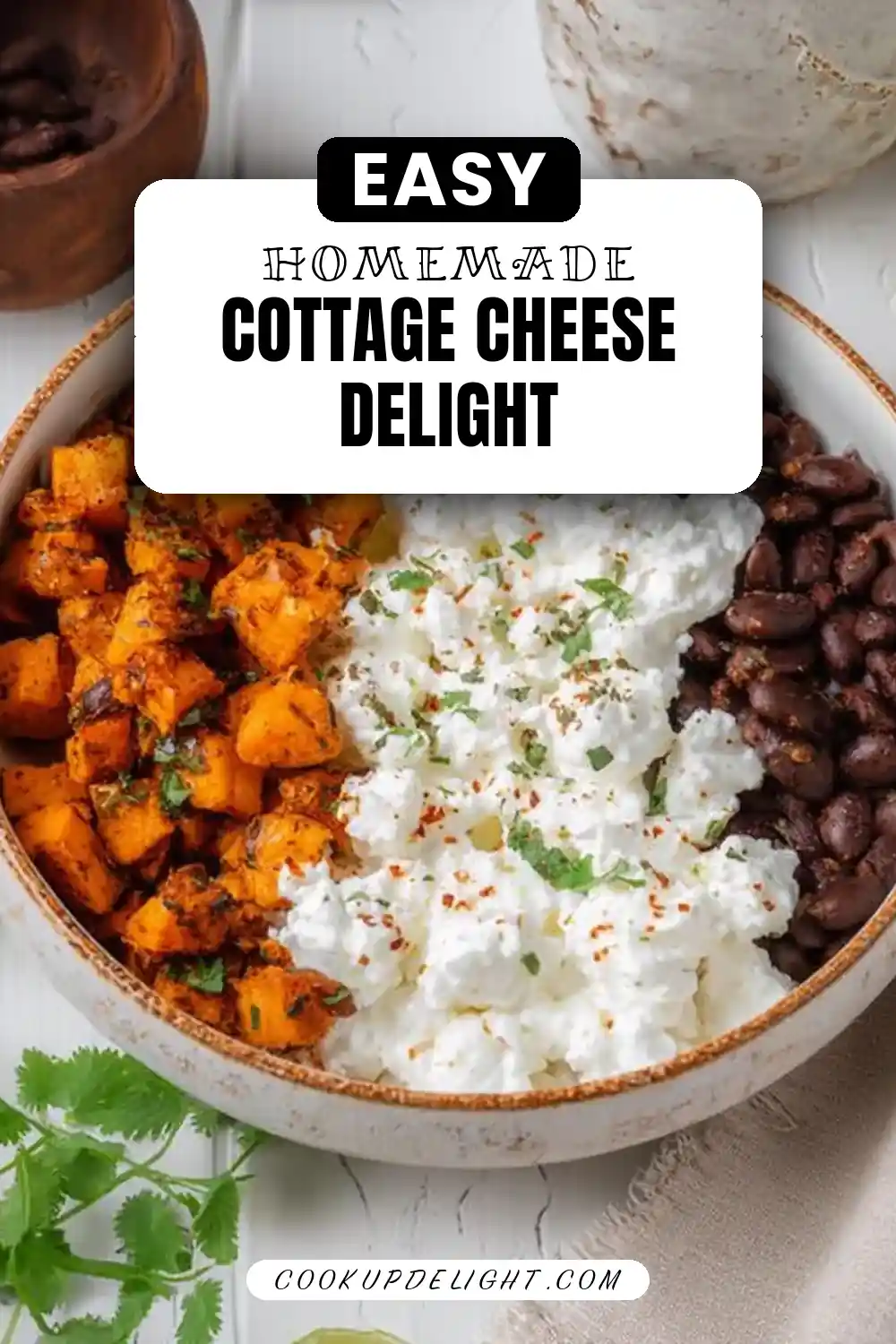 Vegetarian Cottage Cheese Bowl
