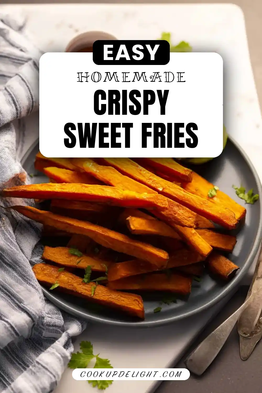Air Fryer Sweet Potato Fries