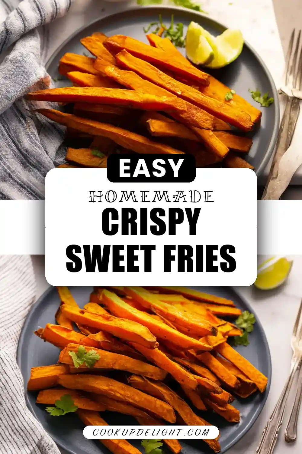 Air Fryer Sweet Potato Fries