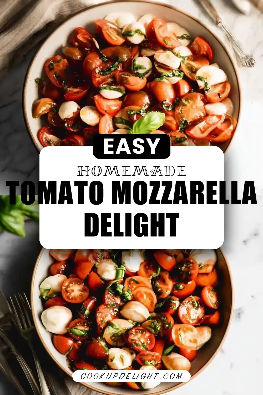 Tomato and Mozzarella Caprese Salad